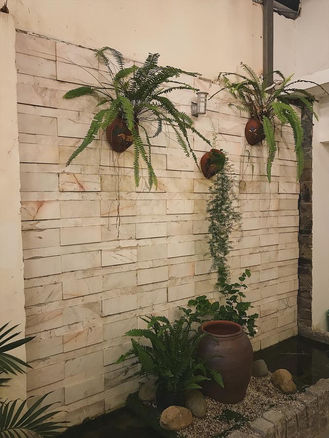 Toto Hostel Da Nang Exterior photo